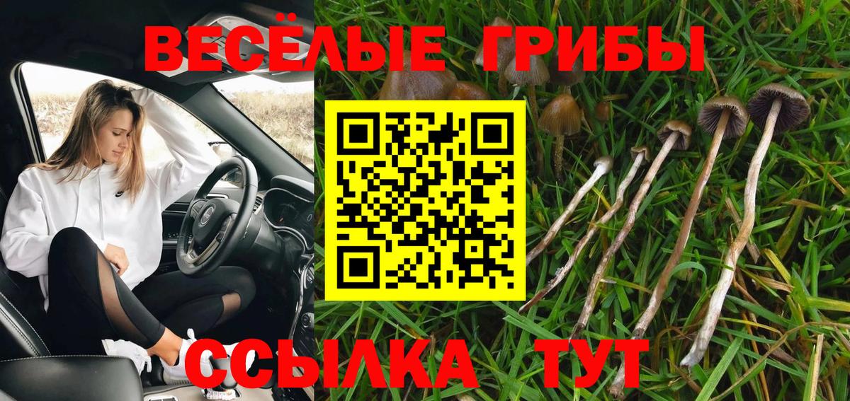 Псилоцибиновые грибы ЛСД Рославль