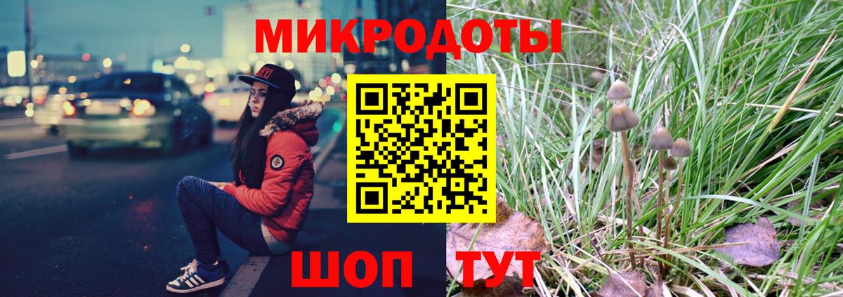 Галлюциногенные грибы Cubensis  Вход с VPN  Рославль  Галлюциногенные грибы мицелий 